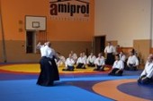 aikido - Vural 20150919